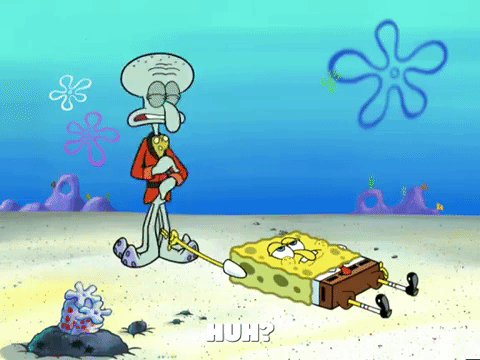 season 6 porous pockets GIF by SpongeBob SquarePants