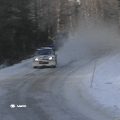 On My Way Wow GIF by FIA World Rally Championship