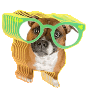 crewandconcierge_ dog dogs cc sos Sticker