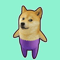 If You Know You Know Shiba Inu GIF