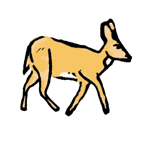 Wolf Sivar Sticker by Loto El Salvador