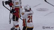 Ice Hockey Sport GIF by NHL