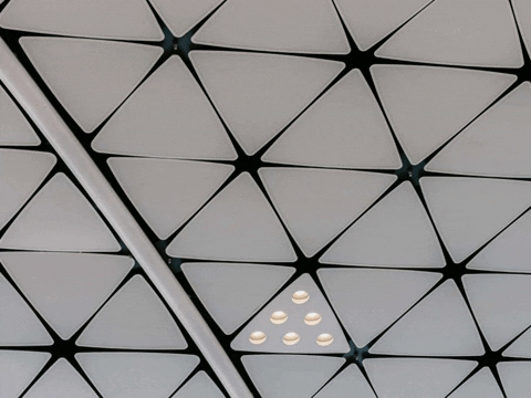 Germany Wow GIF by PrivatschulenPORTAL.de