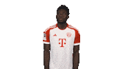 Fc Bayern Roadrunner Sticker by Bundesliga