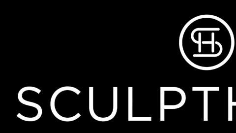 SculptHouseATL giphyupload sculpt sculpthouse sculpt squad GIF