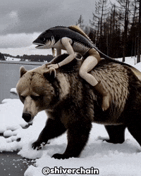 Winter Bear GIF