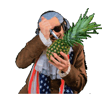 Pineapple Sticker