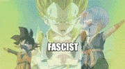 Dragon Ball Z gif. Goten with the label of "Viewer" and Trunks with the label of the Fox News logo rhythmically move into frame and point to one another before light bursts from their connection. The camera then pans up to reveal a triumphant-looking Gotenks, hands on hips, with the label "Fascist."