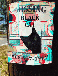 michaelpaulukonis glitch cats black cat digital collage GIF