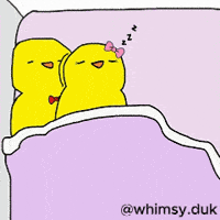 Sleep Love GIF