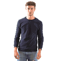 AlphensNL alphen aan den rijn 0172 alphensnl alphens Sticker