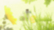 animation motion GIF by LooseKeys