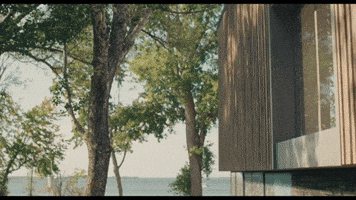 Dakota Johnson Comedy GIF by NEON