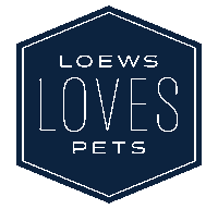 Cat Love Sticker by Loews Hotels