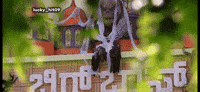 Gilli GIF