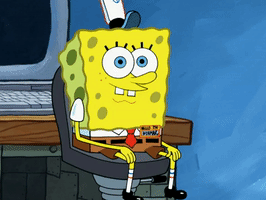 season 6 GIF by SpongeBob SquarePants