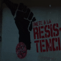La Casa De Papel Beer GIF by Estrella Galicia