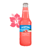Flowers Watermelon Sticker by Seagram's Escapes