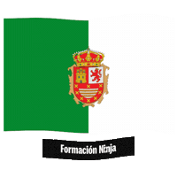 Las Palmas Flag Sticker by Formación Ninja