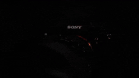 maikkleinert giphyupload photographer sony 4k GIF