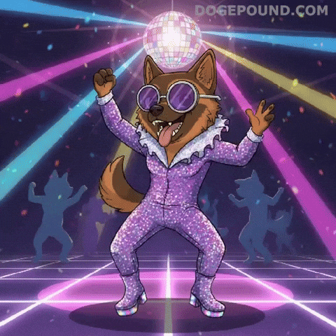 Happy Lets Go GIF by Doge Pound