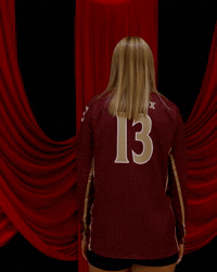 Elon Volleyball GIF by Elon Phoenix