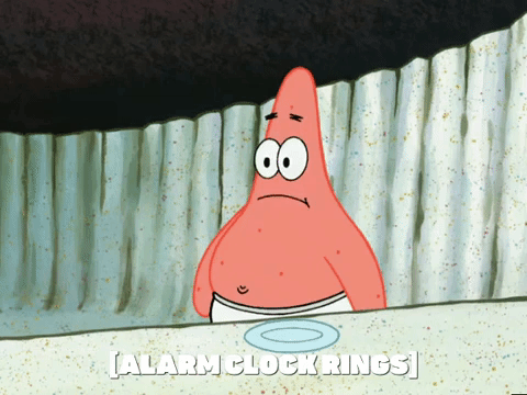 season 5 episode 3 GIF by SpongeBob SquarePants