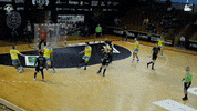 Czech Republic Handball GIF by HCB Karviná