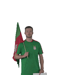 Handball-Bundesliga Handball Sticker by DAIKIN HBL