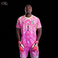 Fifa World Cup Elephants GIF by Respective