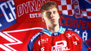 Daniel GIF by HC Dynamo Pardubice