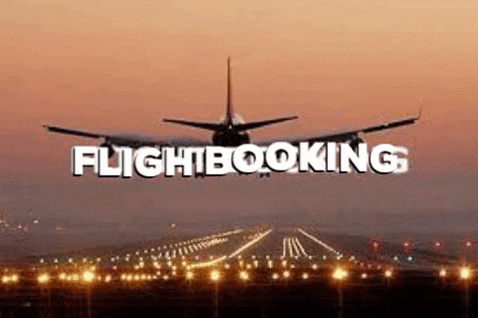 mbillaone giphygifmaker flight GIF