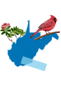 States Reaction Sticker by Crooked Media