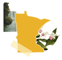 States Reaction Sticker by Crooked Media