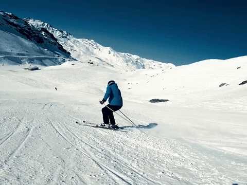HegemonTravel giphygifgrabber fun winter ski GIF