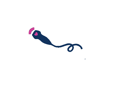 Radiology Echocardiography Sticker