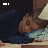 Sleep Sleeping GIF by TRT