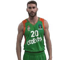 Alenhodzic Sticker by kkcedevitaolimpija