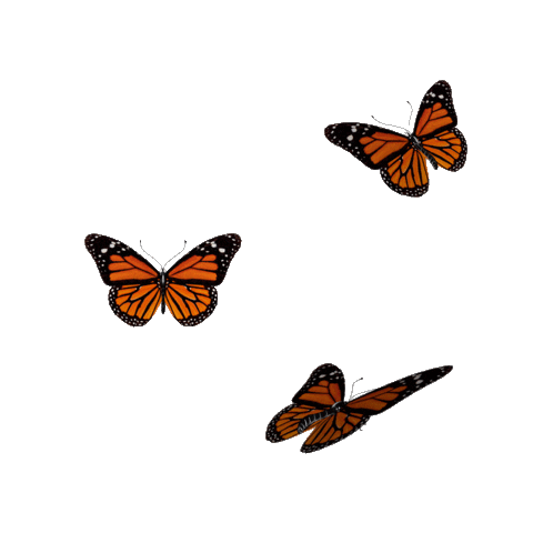 Sticker by Originals