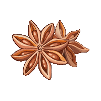 Star Anise Sticker