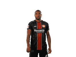 bundesliga werkself Sticker by Bayer 04 Leverkusen