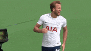 harry kane football GIF by Tottenham Hotspur