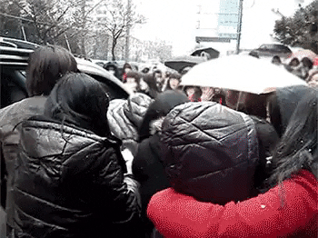 tintuckpop giphyupload GIF