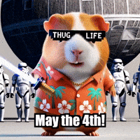 Star Wars GIF by Guinea Gambino