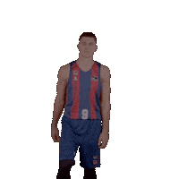 Liga Endesa Sport Sticker by ACB