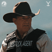 Kevin Costner Point GIF by Yellowstone