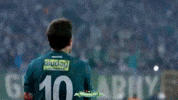 bursasporluyuzorg white green 10 ten GIF