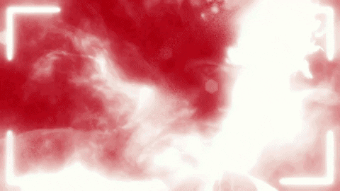 Hockey GIF by Iowa Wild