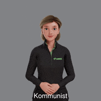 Avatar Gebärdensprache GIF by Sign Time - SiMAX