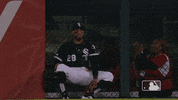 major league baseball sport GIF by MLB